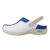 Navy White